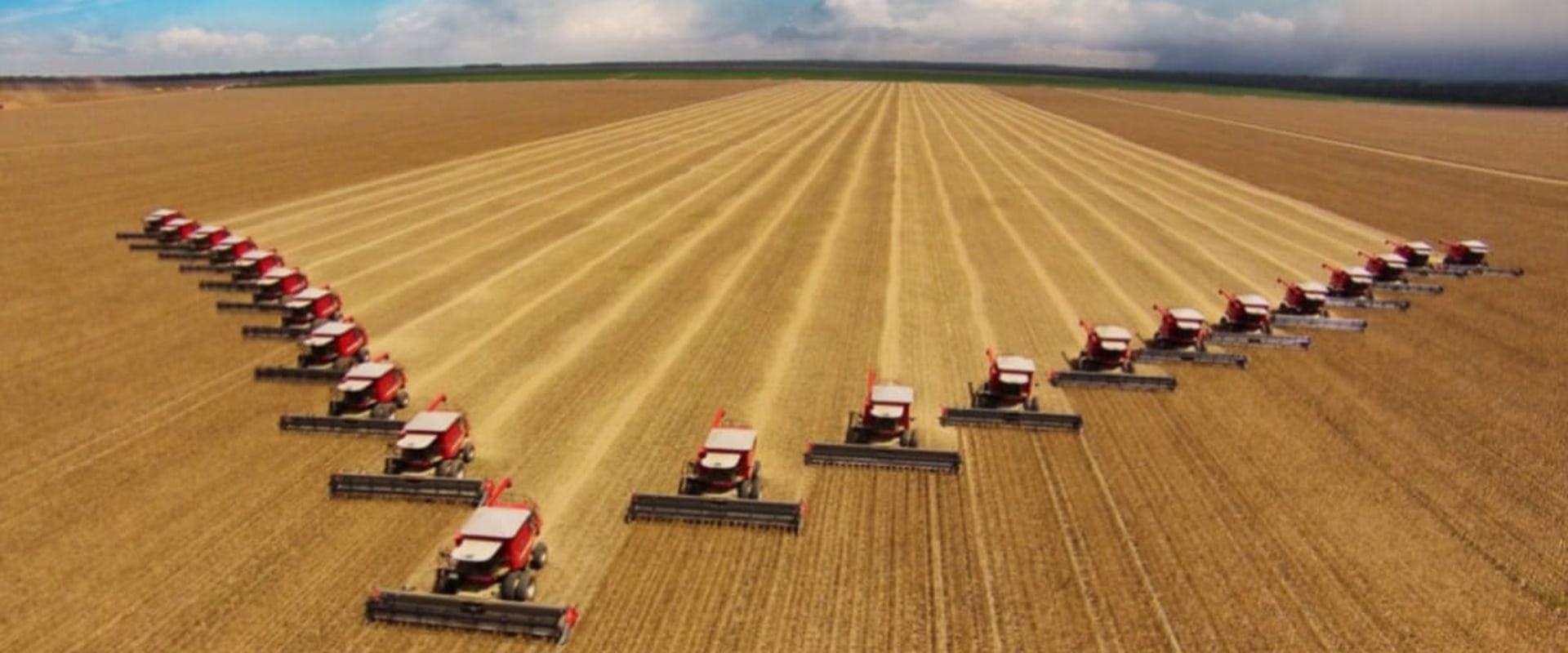 Understanding the Impact of Large-Scale Agriculture on Local Farmers