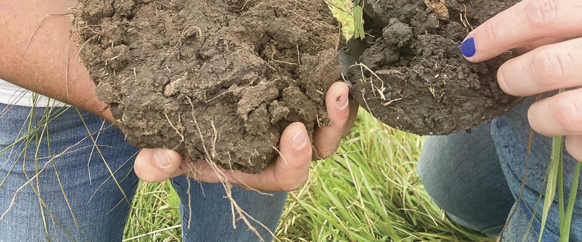 Improving Soil Health and Fertility: A Guide to Sustainable Farming Practices and Farm-to-Table Experience