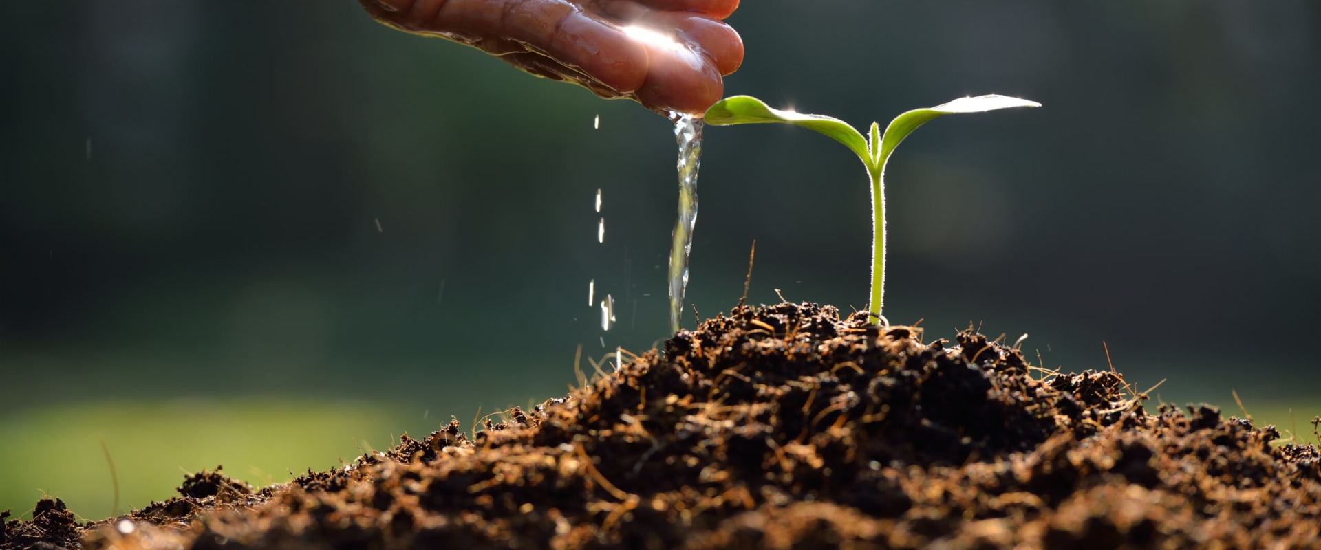 The Importance of Water Conservation in Farming