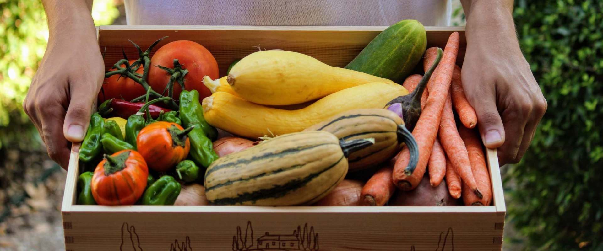 Joining a Community-Supported Agriculture Program: A Guide to Supporting Local Farmers