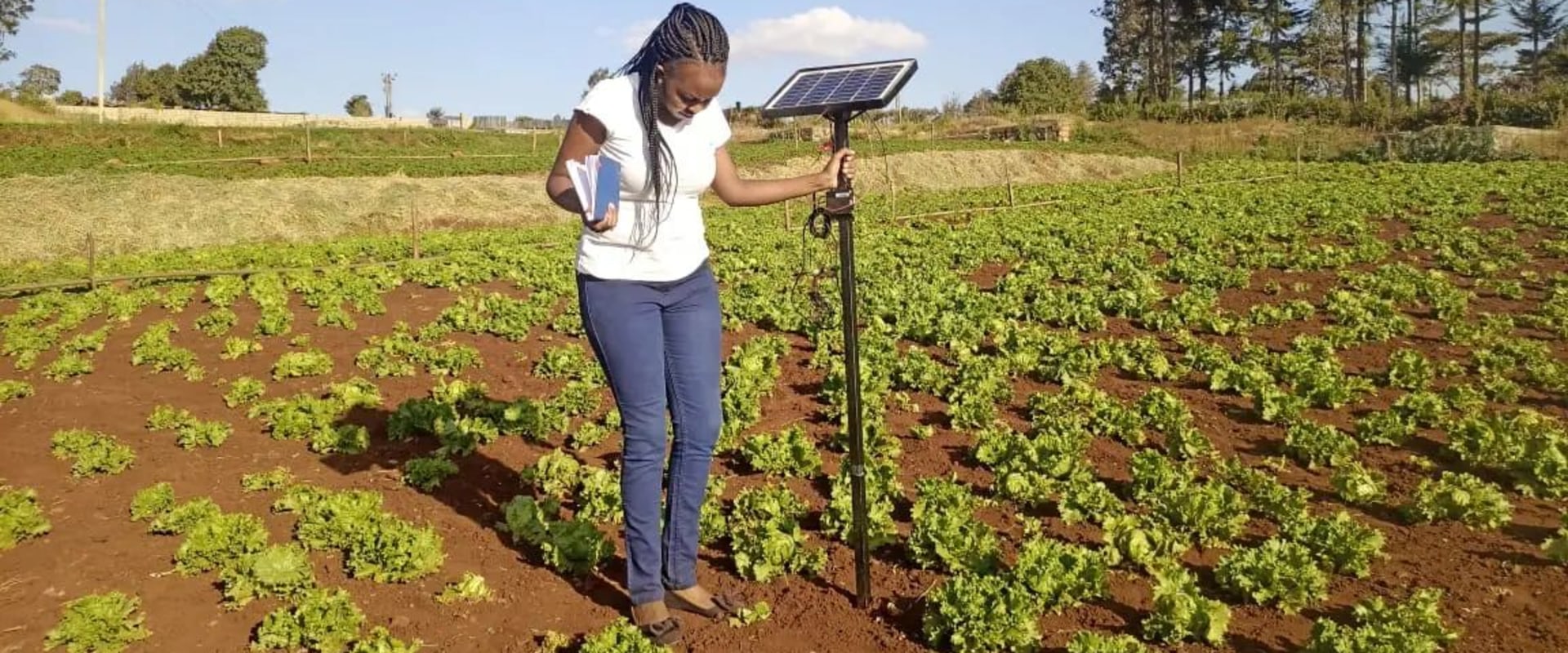 Raising Awareness about the Benefits of Supporting Local Farmers