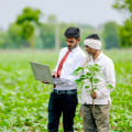 Understanding the Organic Certification Process: A Guide to Sustainable Farming Practices
