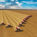 Understanding the Impact of Large-Scale Agriculture on Local Farmers
