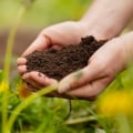 Preserving Seasonal Produce: A Guide to Sustainable and Local Farming Practices