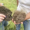 Improving Soil Health and Fertility: A Guide to Sustainable Farming Practices and Farm-to-Table Experience