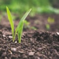 Navigating Regulations and Certifications: Understanding Sustainable Farming and Fresh Ingredients