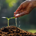 The Importance of Water Conservation in Farming