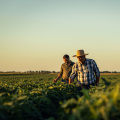 Supporting Policies for Small-Scale Farmers: Promoting Sustainable Farming and Farm-to-Table Experiences