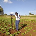 Raising Awareness about the Benefits of Supporting Local Farmers