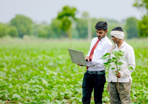 Understanding the Organic Certification Process: A Guide to Sustainable Farming Practices