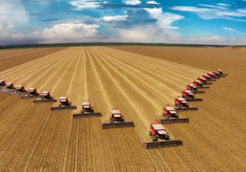 Understanding the Impact of Large-Scale Agriculture on Local Farmers