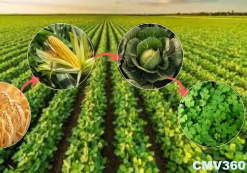 The Power of Crop Rotation: How This Sustainable Farming Practice Benefits Your Palate and the Planet