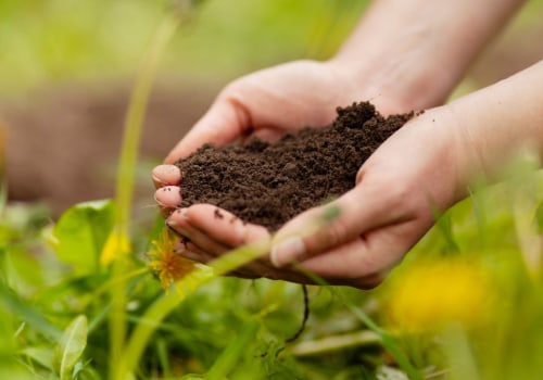 Preserving Seasonal Produce: A Guide to Sustainable and Local Farming Practices