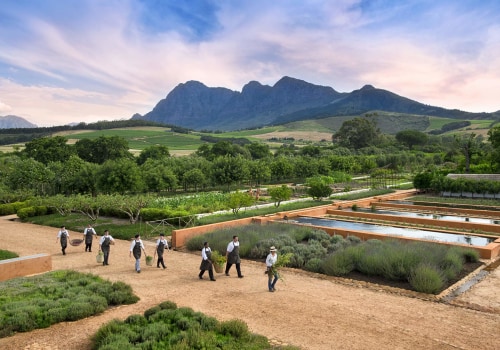 How to Find the Best Farm-to-Table Restaurants Near You