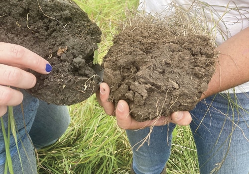 Improving Soil Health and Fertility: A Guide to Sustainable Farming Practices and Farm-to-Table Experience