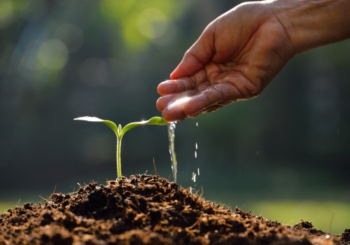 The Importance of Water Conservation in Farming