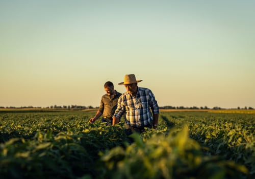 Supporting Policies for Small-Scale Farmers: Promoting Sustainable Farming and Farm-to-Table Experiences